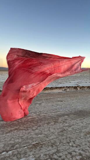 Obra Roja al viento , Salinas Grandes Jujuy , fotografía 2024