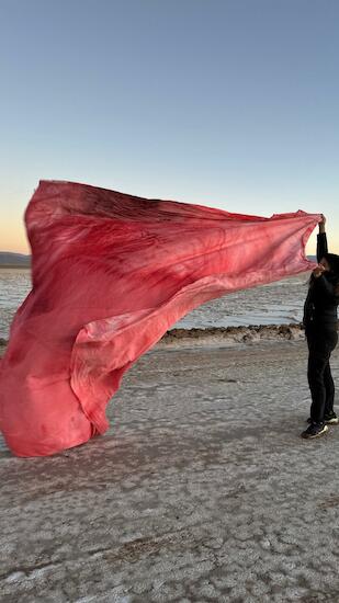 Obra Roja al viento , Salinas Grandes Jujuy