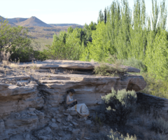 Tejiendo en la Residencia Barda del Desierto (BDD#1) 2015