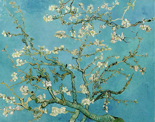 Van Gogh y Amigos del Bellas Artes: